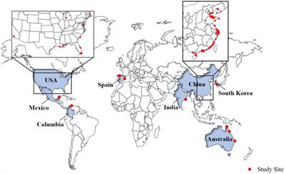 Microorganisms in coastal wetland sediments: a review on microbial community structure, functional gene, and environmental potential